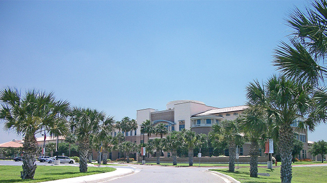 Harlingen City Picture